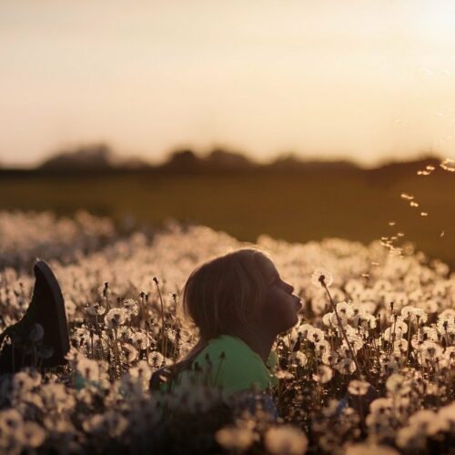 Pack 4 outils subliminaux :Révélation du Soi