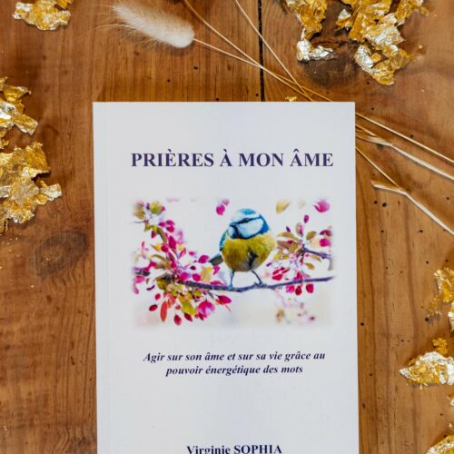Prières à mon Âme de Virginie Sophia, crédit photo Meije Principaud.