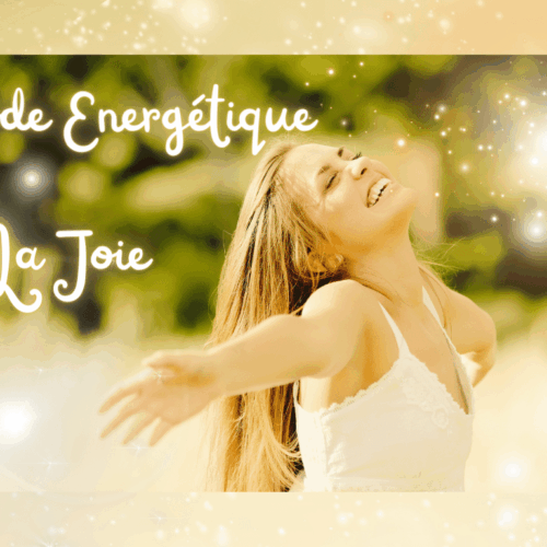 code-énergétique-la-joie