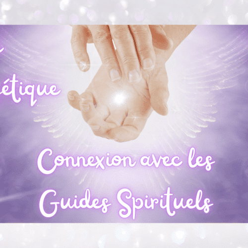 code connexions avec les guides